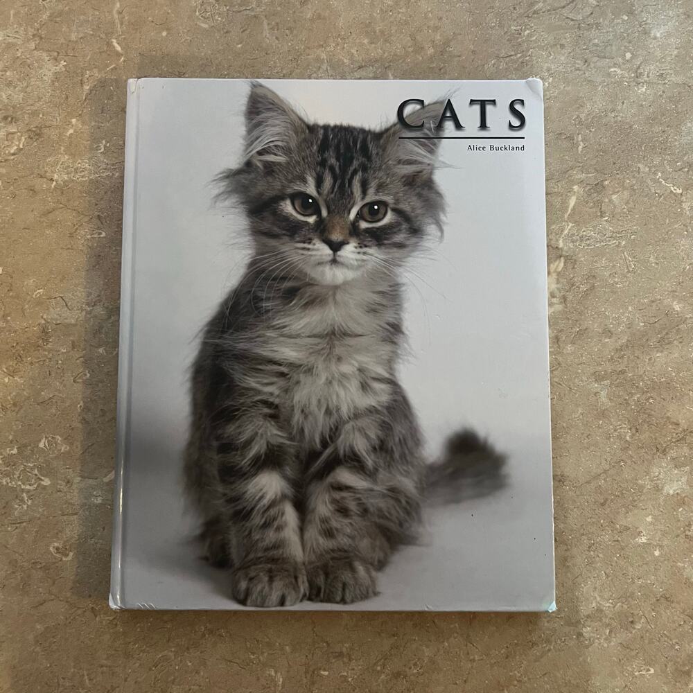 CATS Large Hardcover By Alice Buckland Huge 24 x 17 Inches - Big Book 2009
